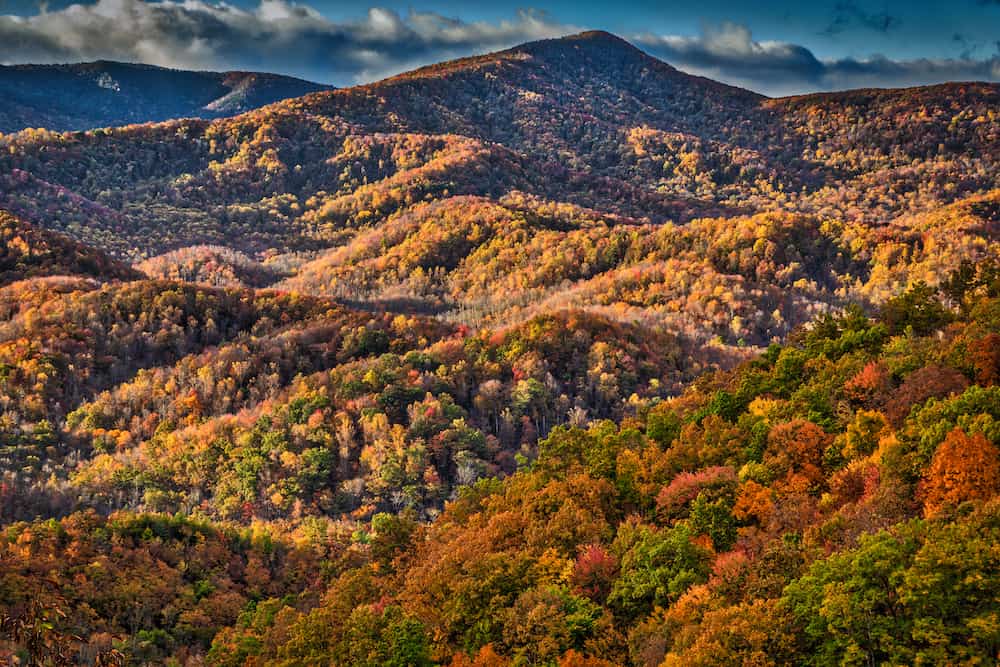 Asheville real estate blog mosaic community lifestyle real estate
